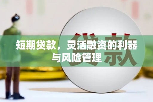 洛宁短期贷款，灵活融资的利器与风险管理