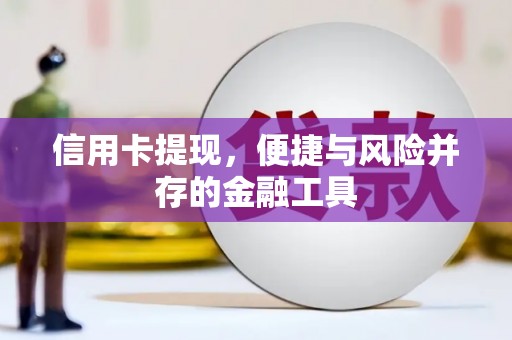 凤台信用卡提现，便捷与风险并存的金融工具