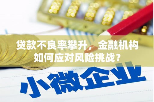 富源贷款不良率攀升，金融机构如何应对风险挑战？