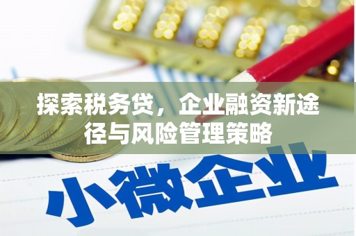 缙云探索税务贷，企业融资新途径与风险管理策略