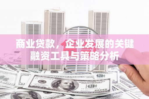 南靖商业贷款，企业发展的关键融资工具与策略分析