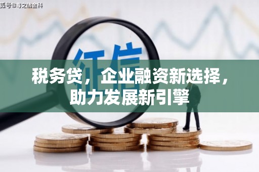 游仙税务贷，企业融资新选择，助力发展新引擎