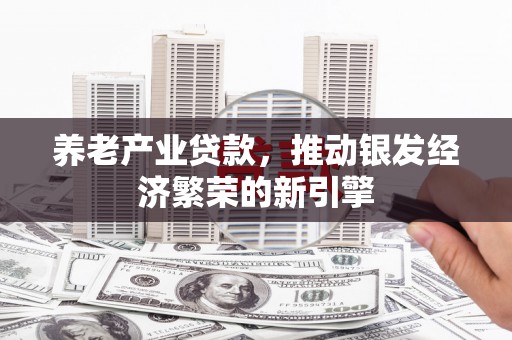 竹南养老产业贷款，推动银发经济繁荣的新引擎