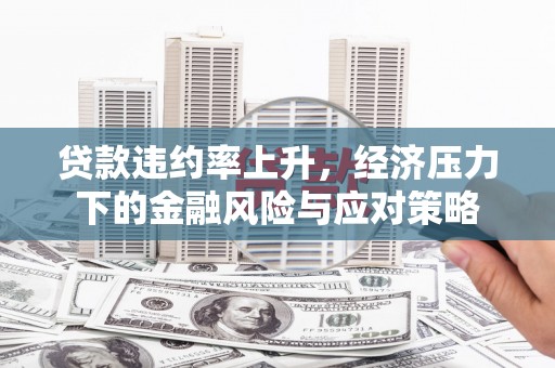 湖里贷款违约率上升，经济压力下的金融风险与应对策略