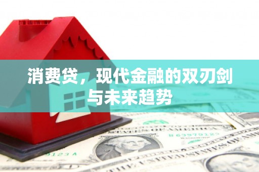 普兰店消费贷，现代金融的双刃剑与未来趋势