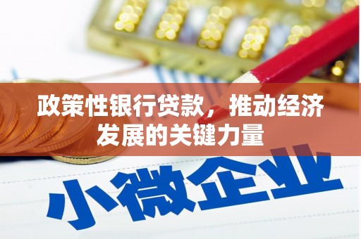 广德政策性银行贷款，推动经济发展的关键力量