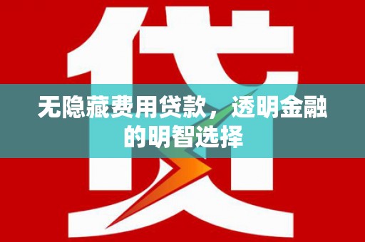 临漳无隐藏费用贷款，透明金融的明智选择