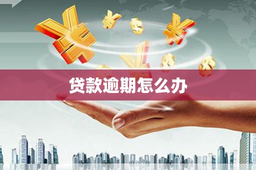 南湖贷款逾期怎么办