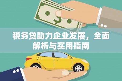 周口税务贷助力企业发展，全面解析与实用指南