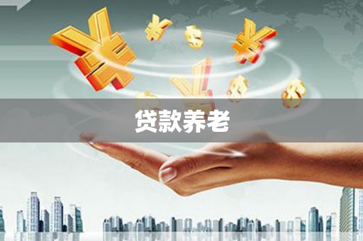 怀远贷款养老