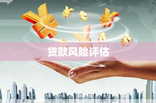 开阳贷款风险评估