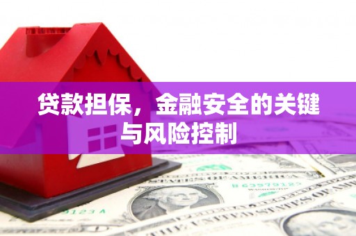 嘉善贷款担保，金融安全的关键与风险控制