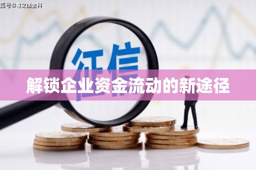 盐湖解锁企业资金流动的新途径