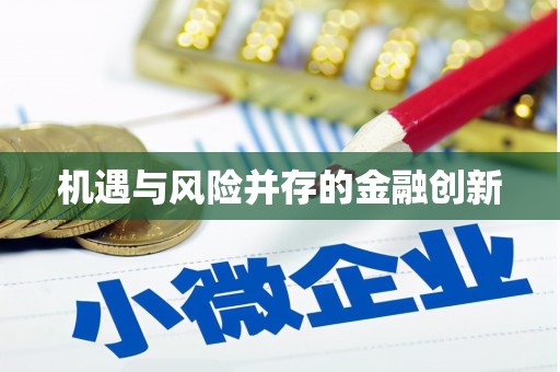 广饶机遇与风险并存的金融创新