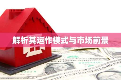 漳平解析其运作模式与市场前景