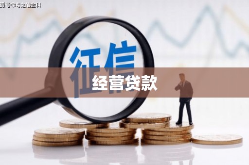 张店经营贷款