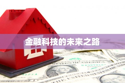 洪雅金融科技的未来之路