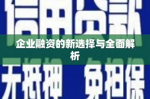 稻城企业融资的新选择与全面解析